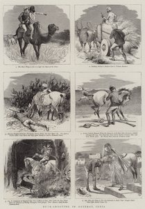 Buck-Shooting em Guzerat, na Índia